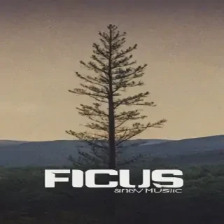 focus music