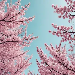 spring desktop wallpaper aesthetic