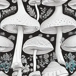 mushroom line art