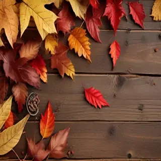 fall wallpaper for iphone