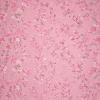 pink wallpaper plain