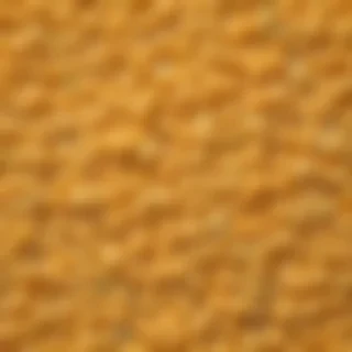macaroni and cheese png