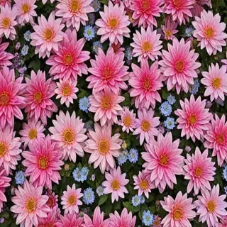 iphone wallpaper flowers