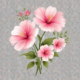 transparent background flower clipart