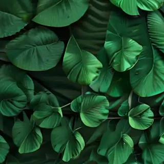 green aesthetic background