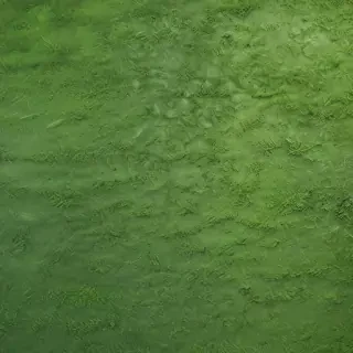 green textures
