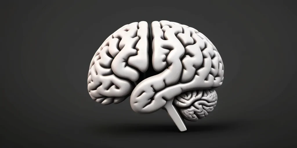 brain black and white