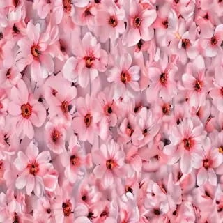 aesthetic flower background