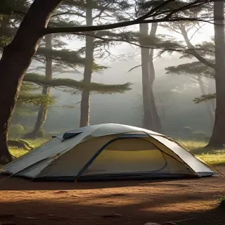 camping png