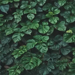 plants background iphone