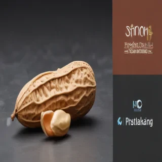 peanut png