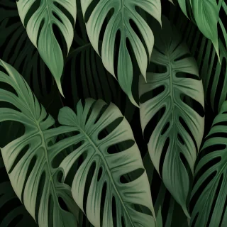 aesthetic monstera wallpaper