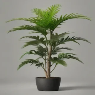 plant png clipart