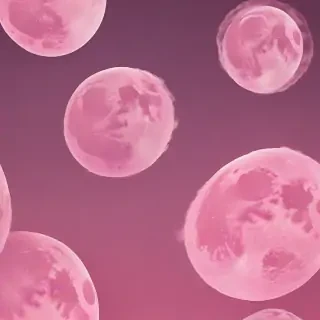 pink moon wallpaper
