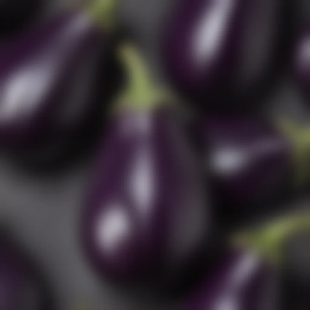 new eggplant friday