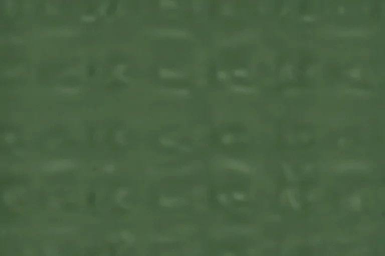 plain green bg