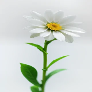 white flower transparent background