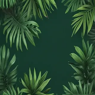 green background aesthetic