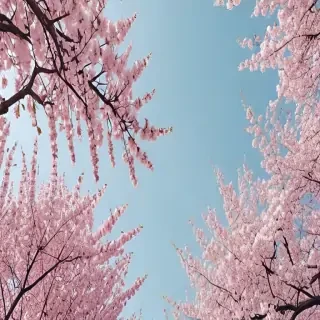 spring backgrounds aesthetic