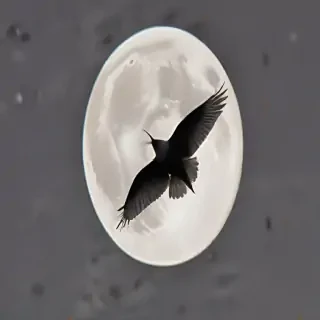 moon frawing