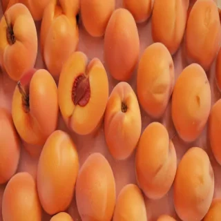 peach color background