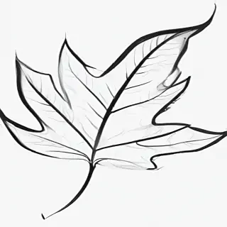 leaf clip art black and white