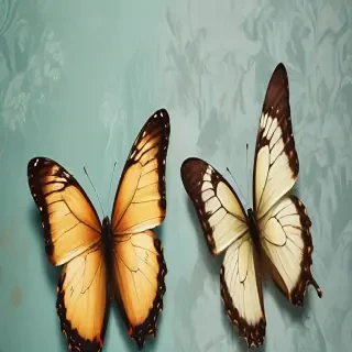 butterfly wall paper