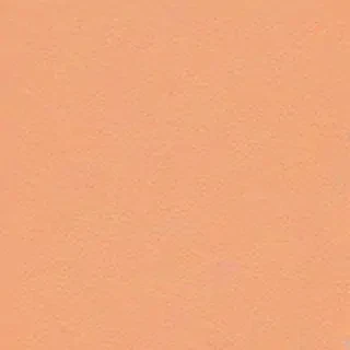 peach color background