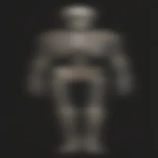skeleton transparent background