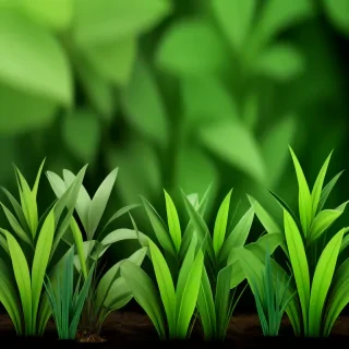 zoom backgrounds with plants