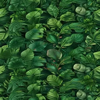 plant backgrounds