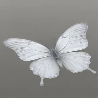 white butterfly png