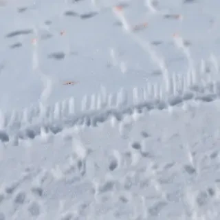 transparent snow
