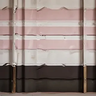 background shapes