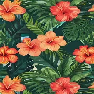 hawaii png