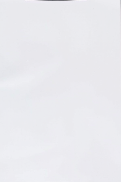 Regenerate an image of a blank document with a clean layout, using a DSLR camera with a 50mm lens, aperture f/2.8, ISO 100, and a slight overhead angle to enhance depth and clarity.