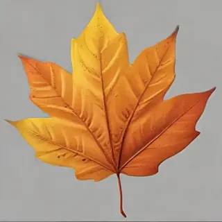 autumn leaf png