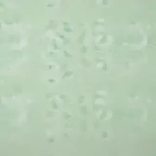 pastel green wallpaper