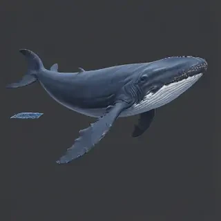 blue whale png