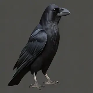 crow png