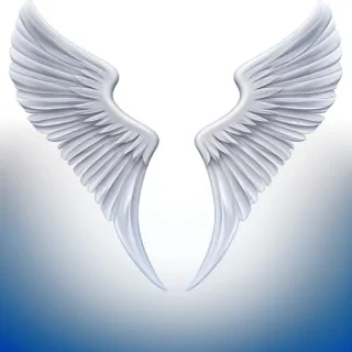 angel wings transparent background