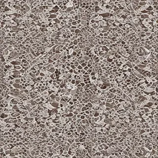 lace png transparent