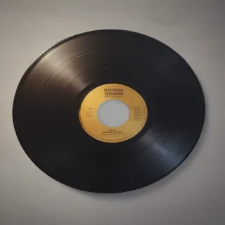 transparent record png