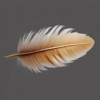 feather png