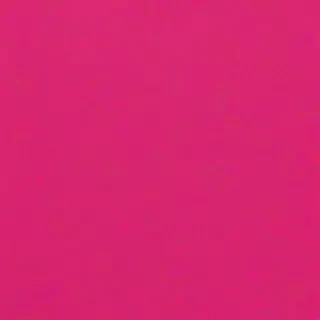 hot pink background