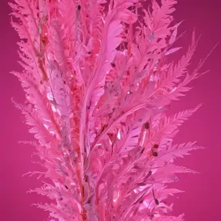 neon pink bg