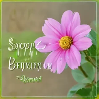 speedy recovery images