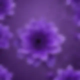 purple cute wallpaper