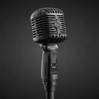 mic png