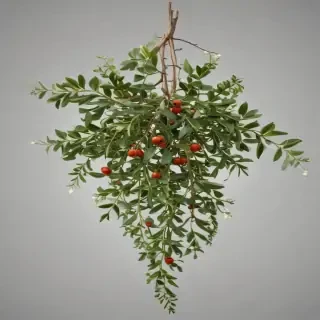 mistletoe png